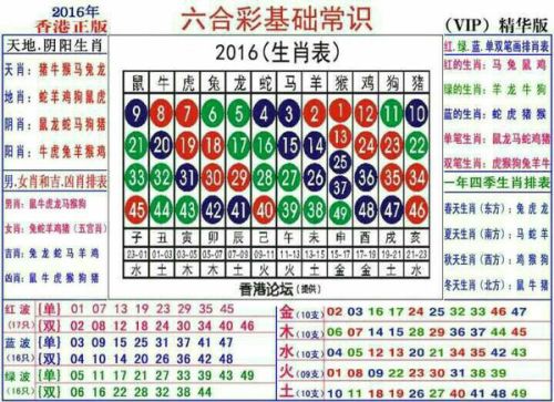 2024十二生肖49码表,关于十二生肖与数字49的奇妙结合——揭秘2024年十二生肖49码表