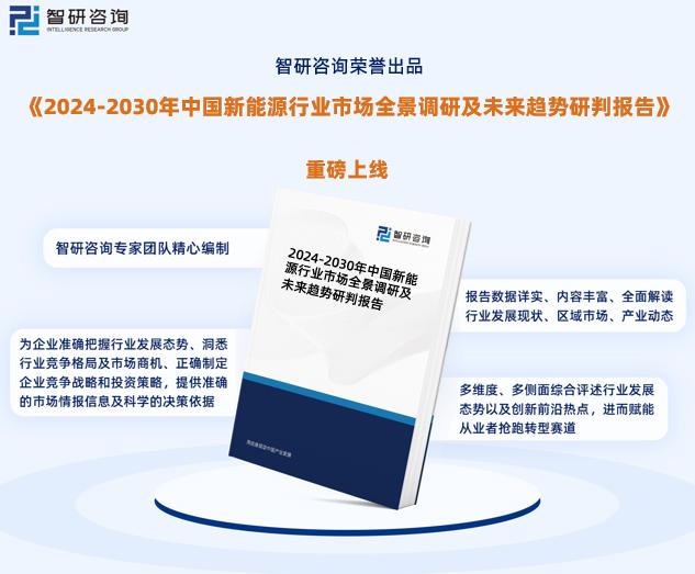 2024新奥资料免费精准109,探索未来，2024新奥资料免费精准获取指南（109细节解析）