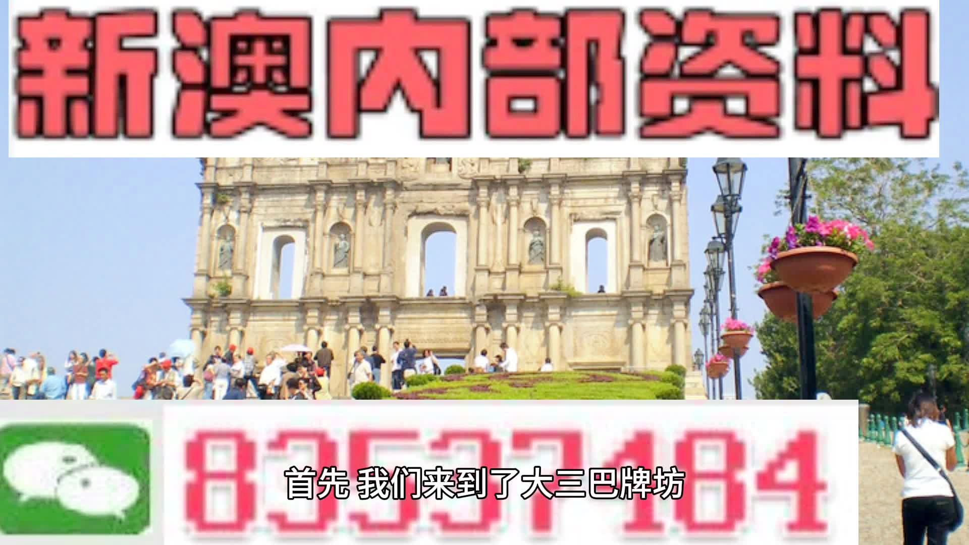 2024新澳三期必出一肖,揭秘与探索，新澳三期必出一肖的奥秘与期待