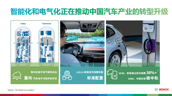 2024十二生肖49个码,揭秘十二生肖与数字码，探寻2024年49个生肖码的秘密