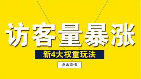 2024管家婆精准资料第三,揭秘2024管家婆精准资料第三篇章，数据与策略的深度解析