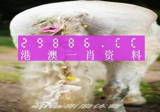 澳门火麒麟一肖一码2025,澳门火麒麟一肖一码2025，揭秘与探索