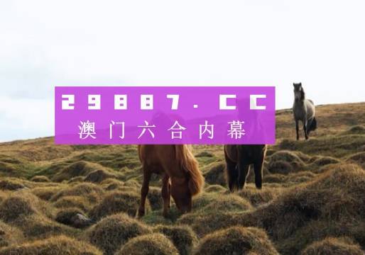 六合图库,六合图库，探索数字世界的宝藏之地