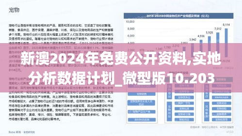 新澳2025正版免费资料,新澳2025正版免费资料，探索与启示